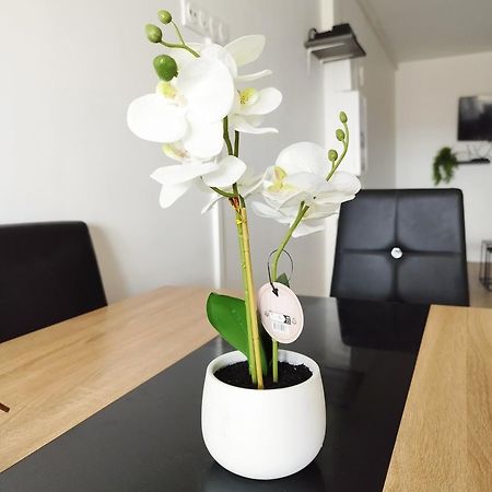 Appartamento Parisian Cosy Flat With Balcony Argenteuil Esterno foto