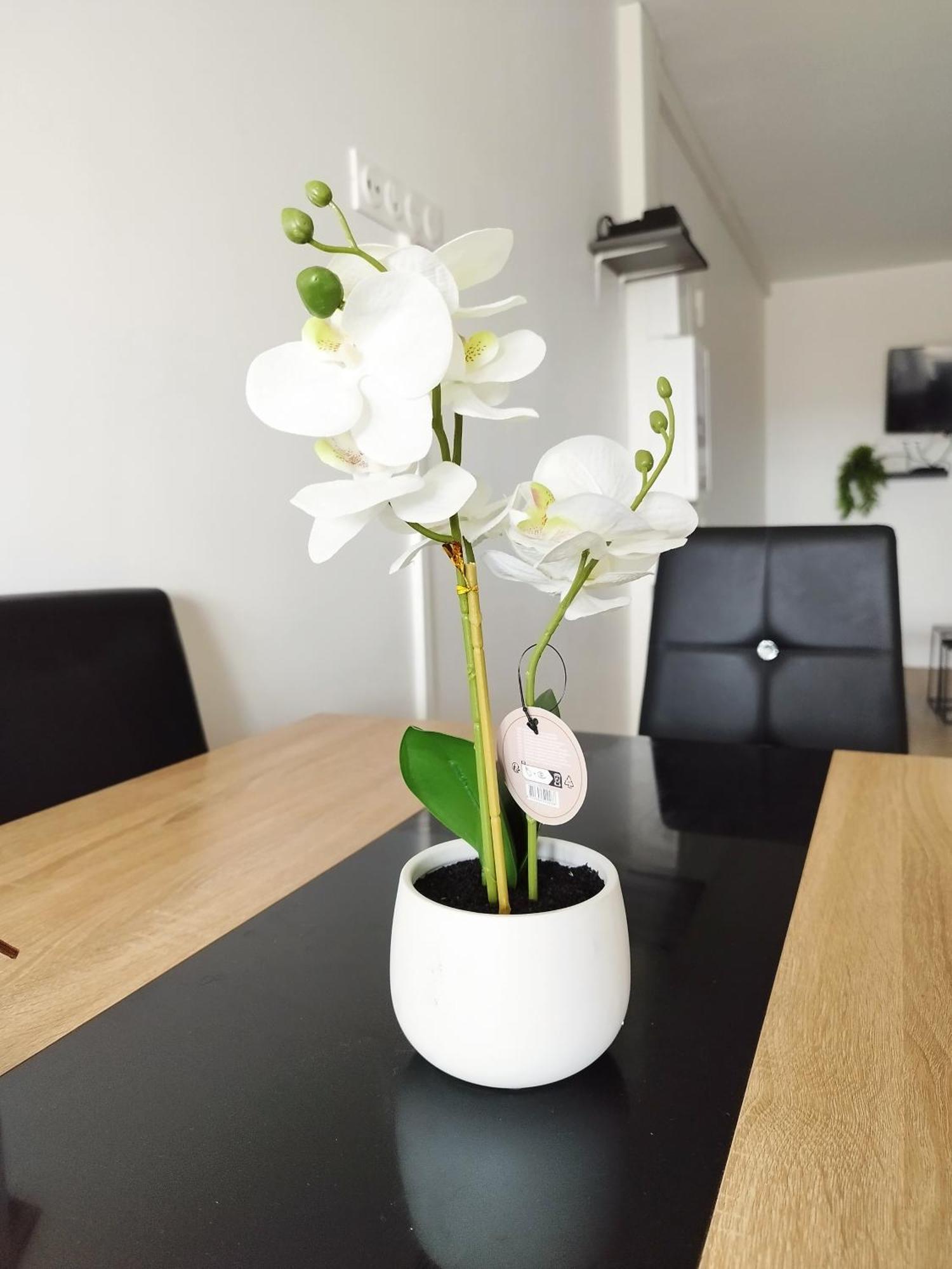 Appartamento Parisian Cosy Flat With Balcony Argenteuil Esterno foto